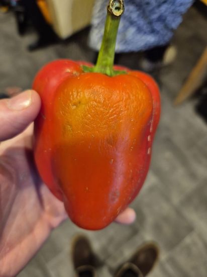 Imagem de ACUMULADOR