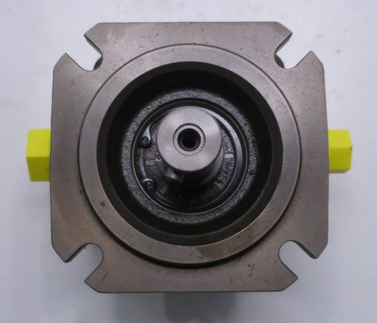 Imagen de PGF2-2X/008RE01VE4 INTERNAL