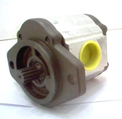 Imagen de BOSCH BOMBA DE ENGRANAJE 0510 725 089