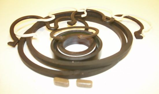Picture of BOSCH GRP2 STAN'D F SERIES SEAL KIT