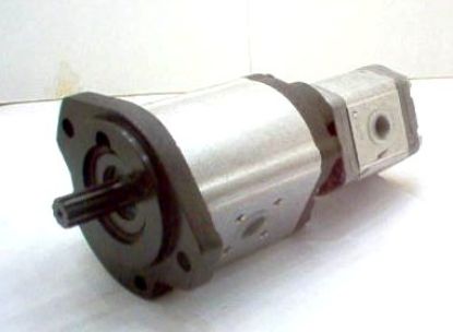 Imagen de 0510766308  BOSCH BOMBA DOBLE