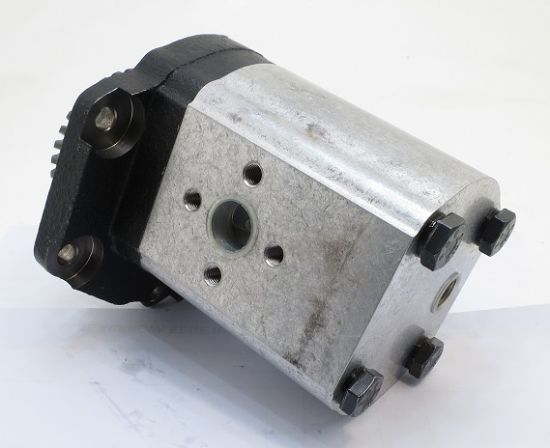 Picture of CASAPPA PUMP No. 01999A3K ,