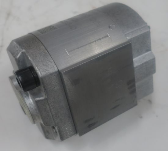 Picture of CAPRONI.PUMP No. 10C2.0X340