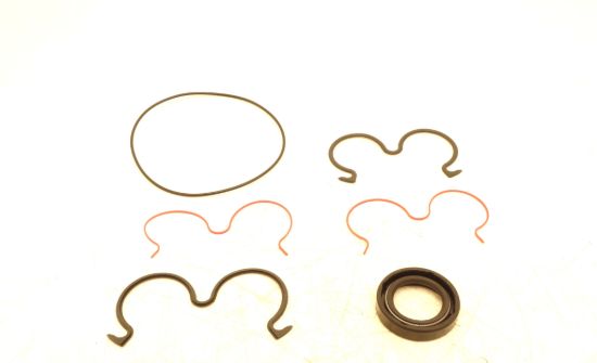 Image de FP30 Pompe JEU DE JOINTS 