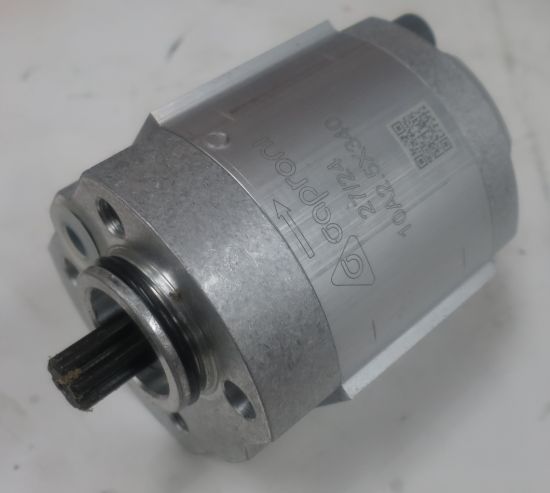 Picture of CAPRONI PUMP No. 10A2.5X340