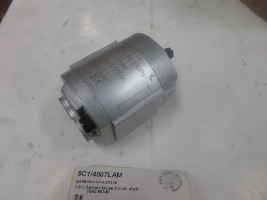 Picture of CAPRONI PUMP No. 10A2.5X340