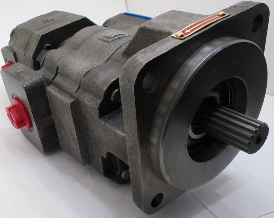 Picture of Perm Equivalent Tandem pump no.