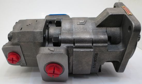 Picture of Perm Equivalent Tandem pump no.