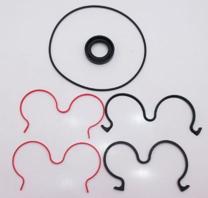 Imagen de CASSAPPA FP40 SERIES JUEGO DE JUNTAS