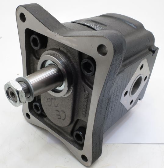 Picture of CASAPPA PUMP No. 03630047