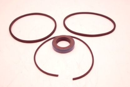 Picture of SEAL KIT To suit unit:- 3129310156