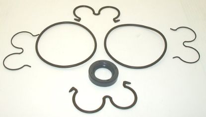 Picture of CASAPPA SEAL KIT No. 62046631