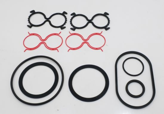 Picture of SEAL KIT KM20-B-P-QR-BLZ TO SUIT