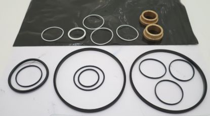 Imagen de SERVICE KIT 1600 PUMP