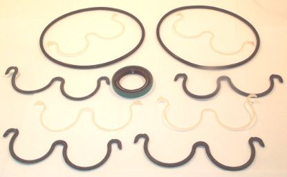Picture of P2APJ 1900 PLAIN BEARING SEAL KIT**