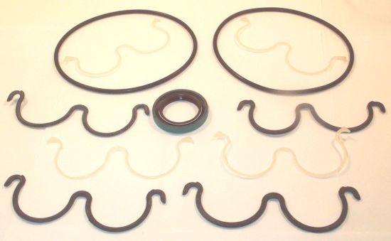 Picture of P2APJ 1900 PLAIN BEARING SEAL KIT**