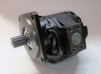 Imagen de Warynski pump P2C2113C5B2A   P-100A