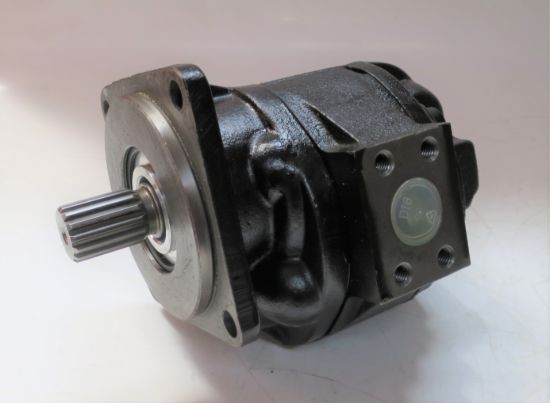 Picture of Warynski pump P2C2113C5B2A   P-100A