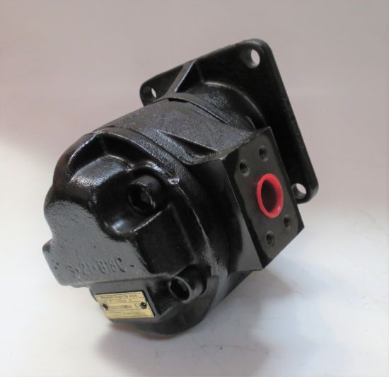 Picture of Warynski pump P2C2113C5B2A   P-100A