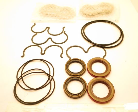 Picture of X5 DOUBLE PMP SEAL KIT + WEARPLATES