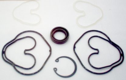 Picture of KFP22 & KFP23 STANDARD SEAL KIT
