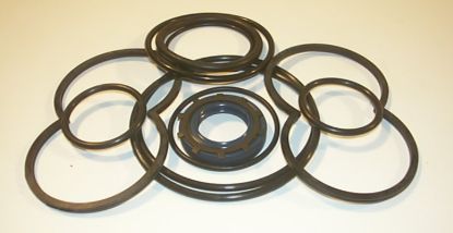 Imagen de REXROTH 1PF2G2 SERIES 4X  CONJUNTO DE SELLOS**