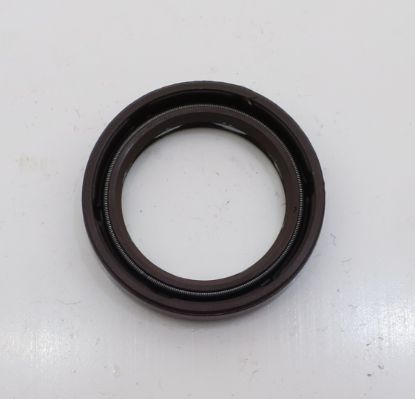 Picture of AA10V SHAFT SEAL  FOR 00969391