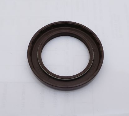 Picture of AA10V SHAFT SEAL 28x40x6 FPM BAB2SL
