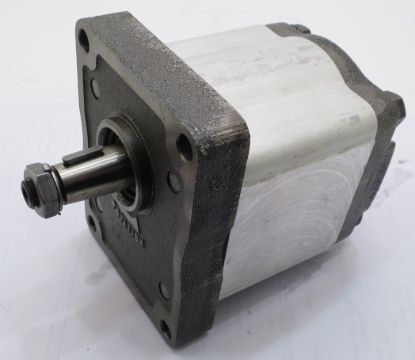 Imagen de C11.3L RAMSOMES BOMBA   27493