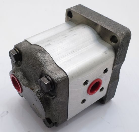 Imagen de C11.3L RAMSOMES BOMBA   27493