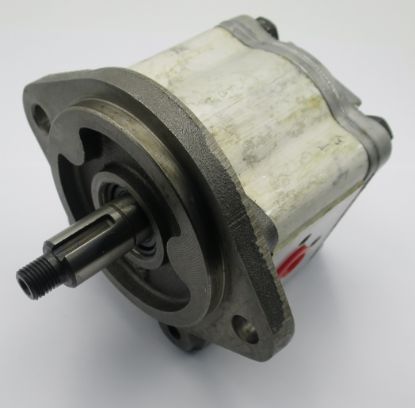 Imagen de C10L THWAITES BOMBA       31922