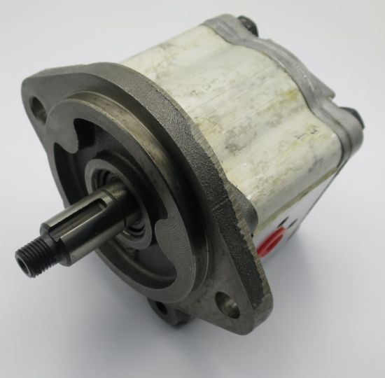 Imagen de C10L THWAITES BOMBA       31922