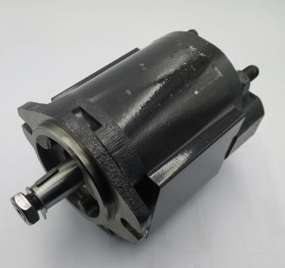 Imagen de A31.5L BOMBA DE ENGRANAJE   34646