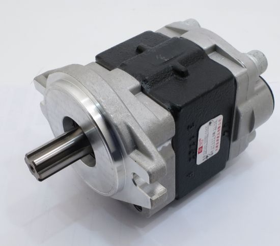 Imagen de PUMP No. SGP1A315D2HH1L043C