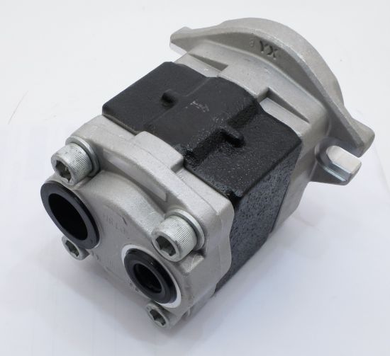 Imagen de PUMP No. SGP1A315D2HH1L043C