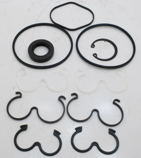 Picture of SDY SERIES SEAL KIT 403-21742