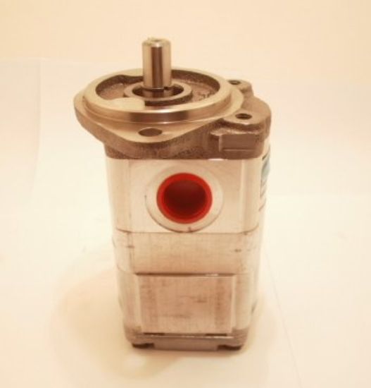 Imagen de C6.3/6.3L 31287 BOMBA DOBLE