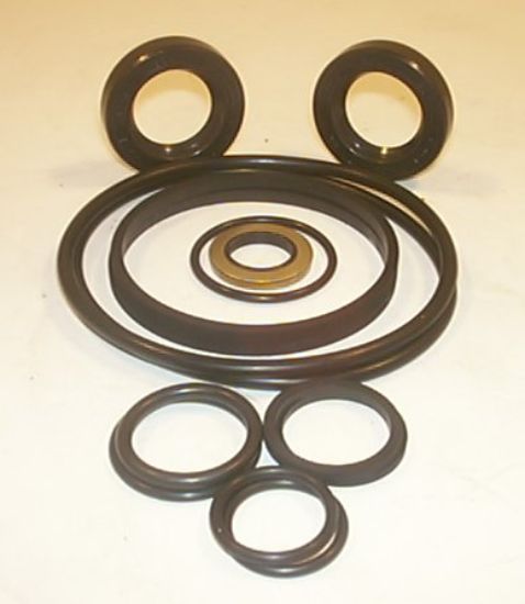 Picture of SEAL KIT TO SUIT 34755/120