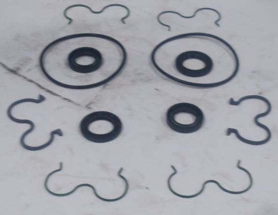 Picture of SEALPACK 550LG29154002