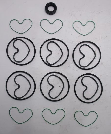 Image de JEU DE JOINTS 550LG30645002