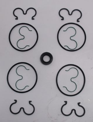 Image de JEU DE JOINTS 550LG33783002