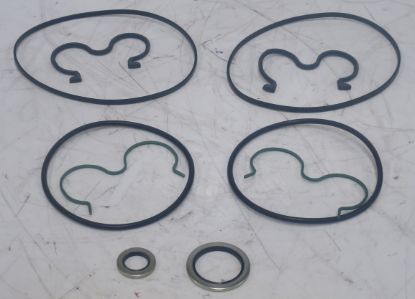 Image de JEU DE JOINTS 550LG36715002