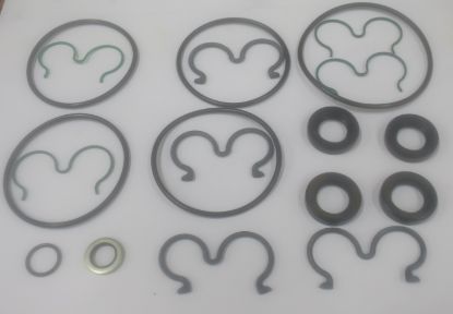 Image de JEU DE JOINTS 550LG38858002