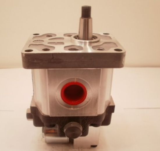 Picture of C10.8L01030/125/032 PUMP VALVE***