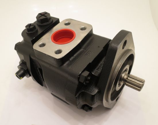 Imagen de PGP620A0410CD1H3MT5B1LYAK  BOMBA