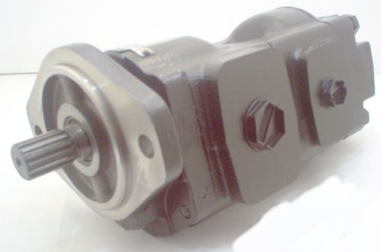 Picture of PARKER PUMP No. 7029120006 ,