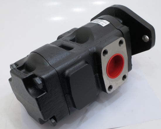 Imagen de PARKER PUMP No. 7029120047 ,