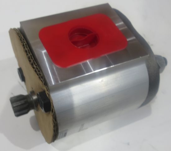 Picture of PUMP SERVICE KIT 40.0L JCB 39020