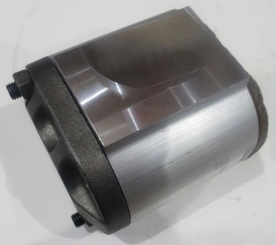 Picture of PUMP SERVICE KIT 40.0L JCB 39020