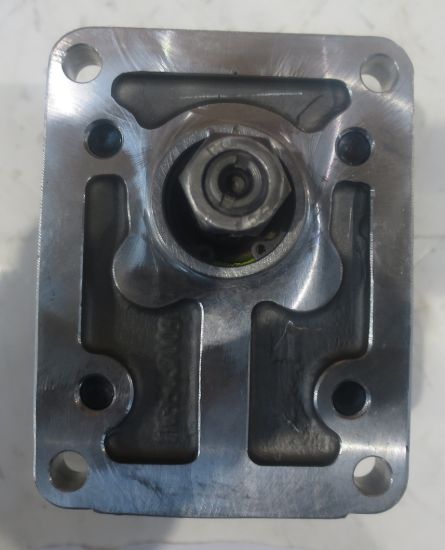 Picture of REPLACEMENT FOR SALAMI: